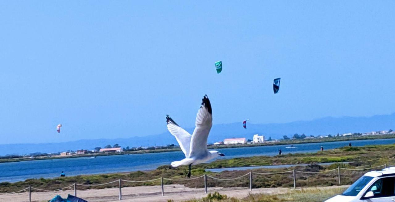 Ca Na Vinyet Villa El Poblenou del Delta Luaran gambar